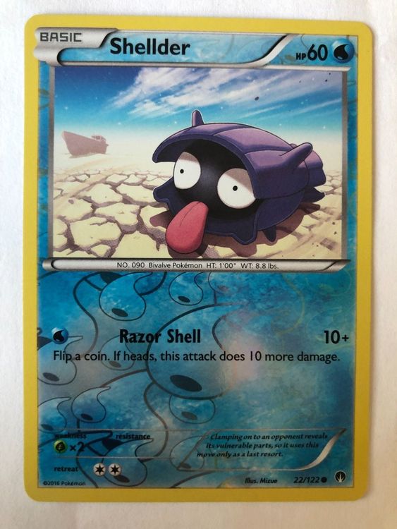 Shellder Reverse Holo Pokemon TCG Kaufen Auf Ricardo