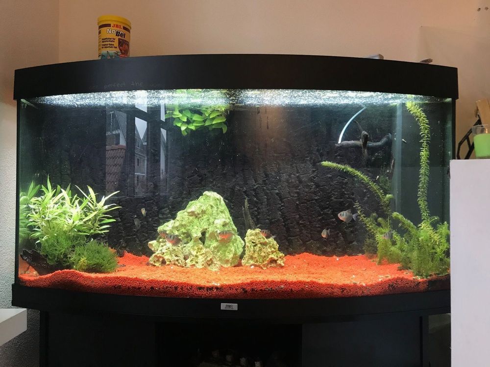 L Juwel Aquarium Mit Zubeh R M Bel Kaufen Auf Ricardo