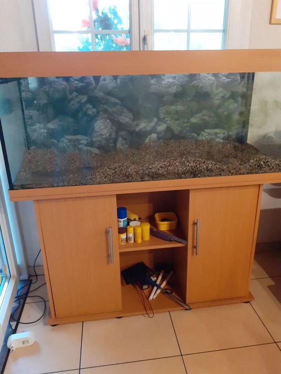 Juwel Rio Buche Aquarium Kaufen Auf Ricardo