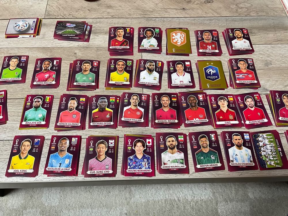 Panini Bilder Wm Qatar Oryx Edition Kaufen Auf Ricardo