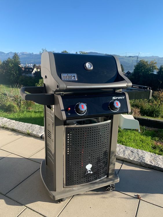 Weber Spirit Gasgrill Mit Zwei Brennern Kaufen Auf Ricardo