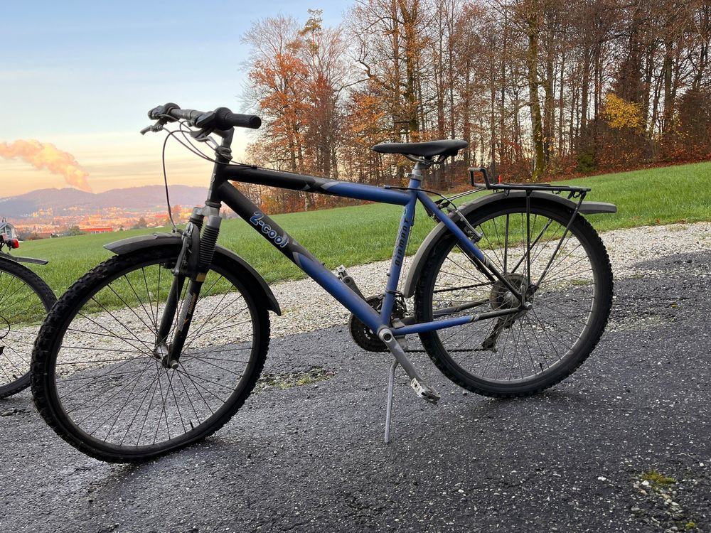 Velo Fahrrad Kaufen Auf Ricardo