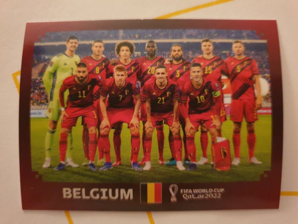 Panini Wm Bel Kaufen Auf Ricardo