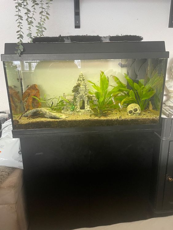 Juwel Aquarium L Kaufen Auf Ricardo