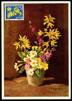 Maximumkarte MK Blumen Forsythie J197 PJ 1962 ET