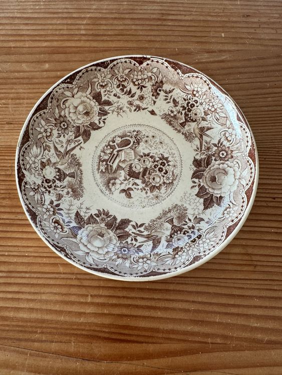 Villeroy & Boch Assiettes: Villeroy&Boch, Wild Rose, Untertasse, 5 Stück, Vintage – D'occasion à Lanzenhäusern par Galaa 3