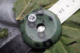 Kambaba Jaspis  50mm Pi Scheibe   –Lot Adlun-