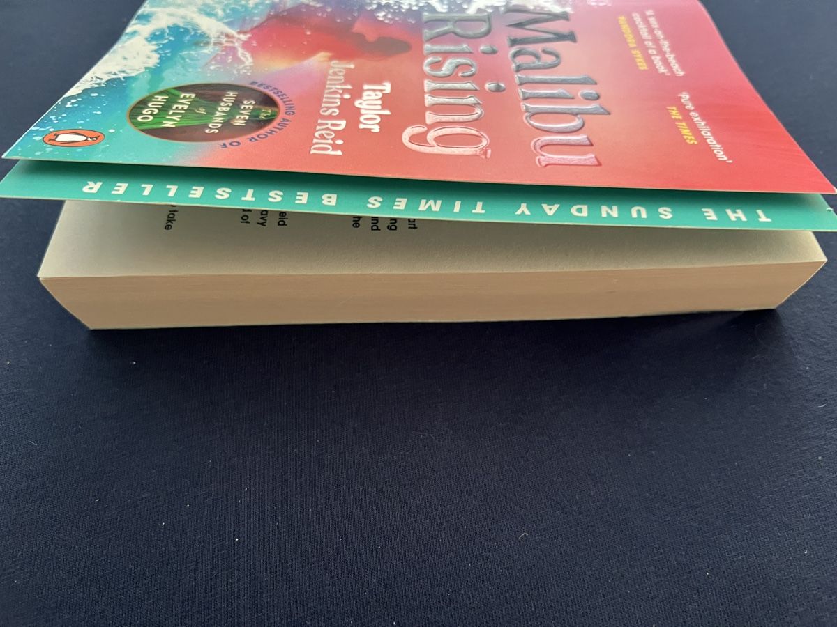 Libri: Malibu Rising - Taylor Jenkins Reid – Nuovo (secondo la descrizione) da Abtwil SG venduto da Caro101 2