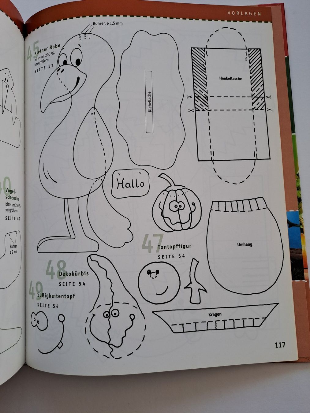 Libri: Baselbuch Die 101 schönsten Herbstideen Topp Verlag – Usato da Glashütten venduto da Schwebefisch 5
