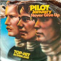 Vinyl Single Pilot - January