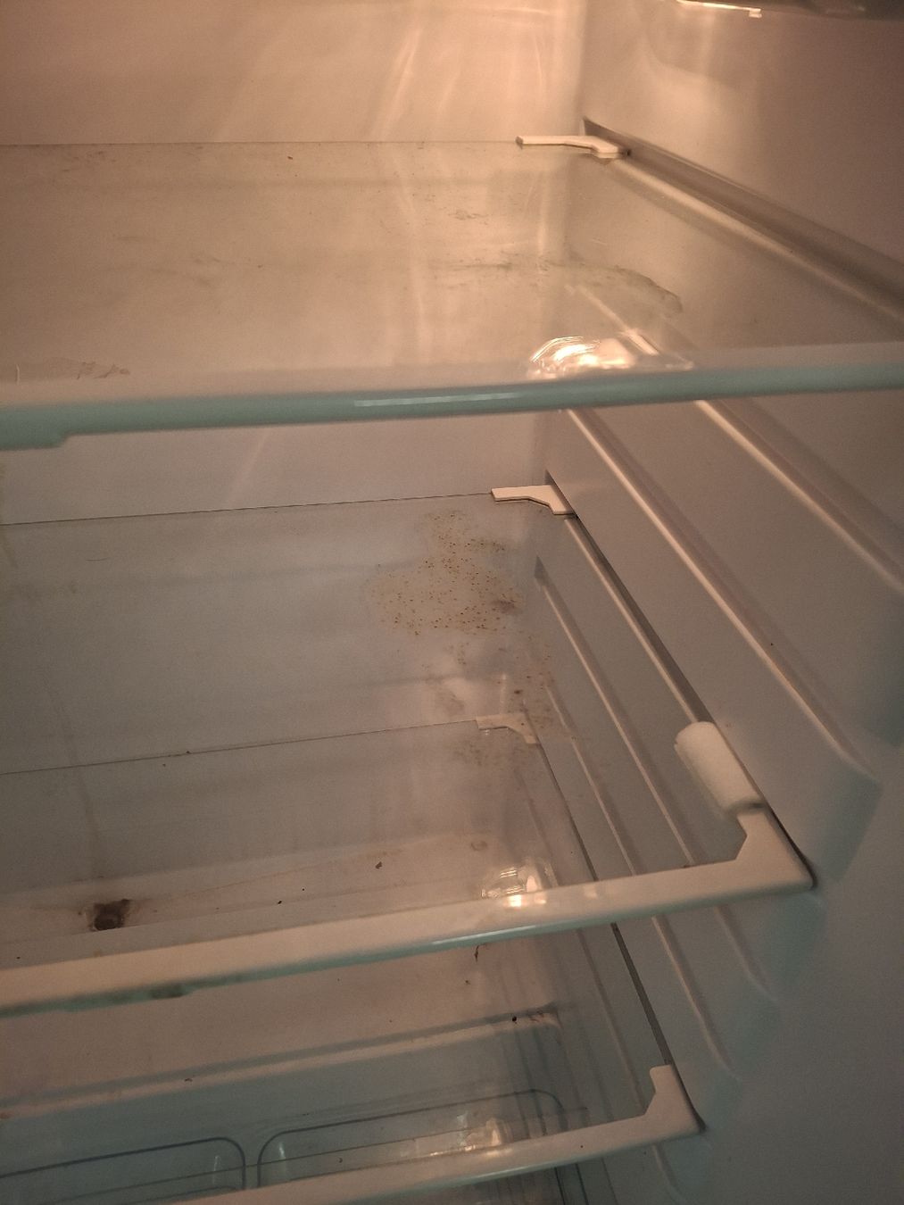 Frigoriferi: Nordfrost Kühlschrank mit Gefrierfach, schmutzig – Usato da Fislisbach venduto da HurtiBrocki 8