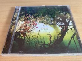 Kettel – My Dogan