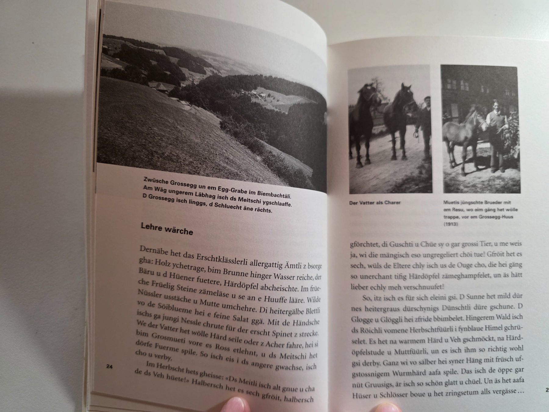 Libri: Über Egge u dür Gräbe - Frieda Stauffer - Licorne 2003 – Usato da Walterswil BE venduto da Lonitti 1