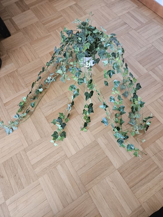 Briful Weihnachtsdeko Im Topf – Kleines Arrangement Mit Weißer Kiefer, Magnolie & Schnee-Effekt. Goldener Topf, Perfekt Für Tisch & Fenster!