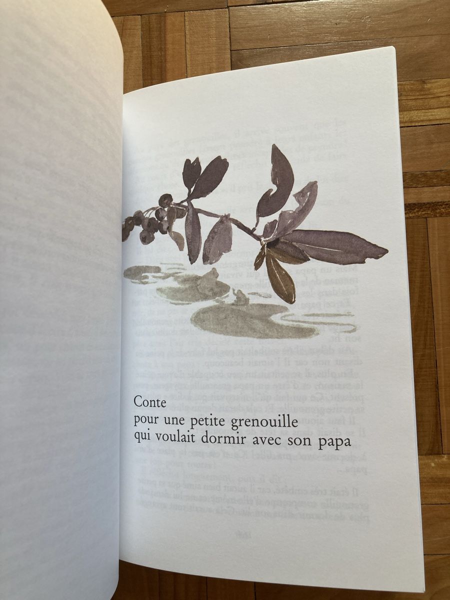 Libri: Livre de contes originaux – Nuovo e nell'imballaggio originale da Ardon venduto da hel_2sxp 6