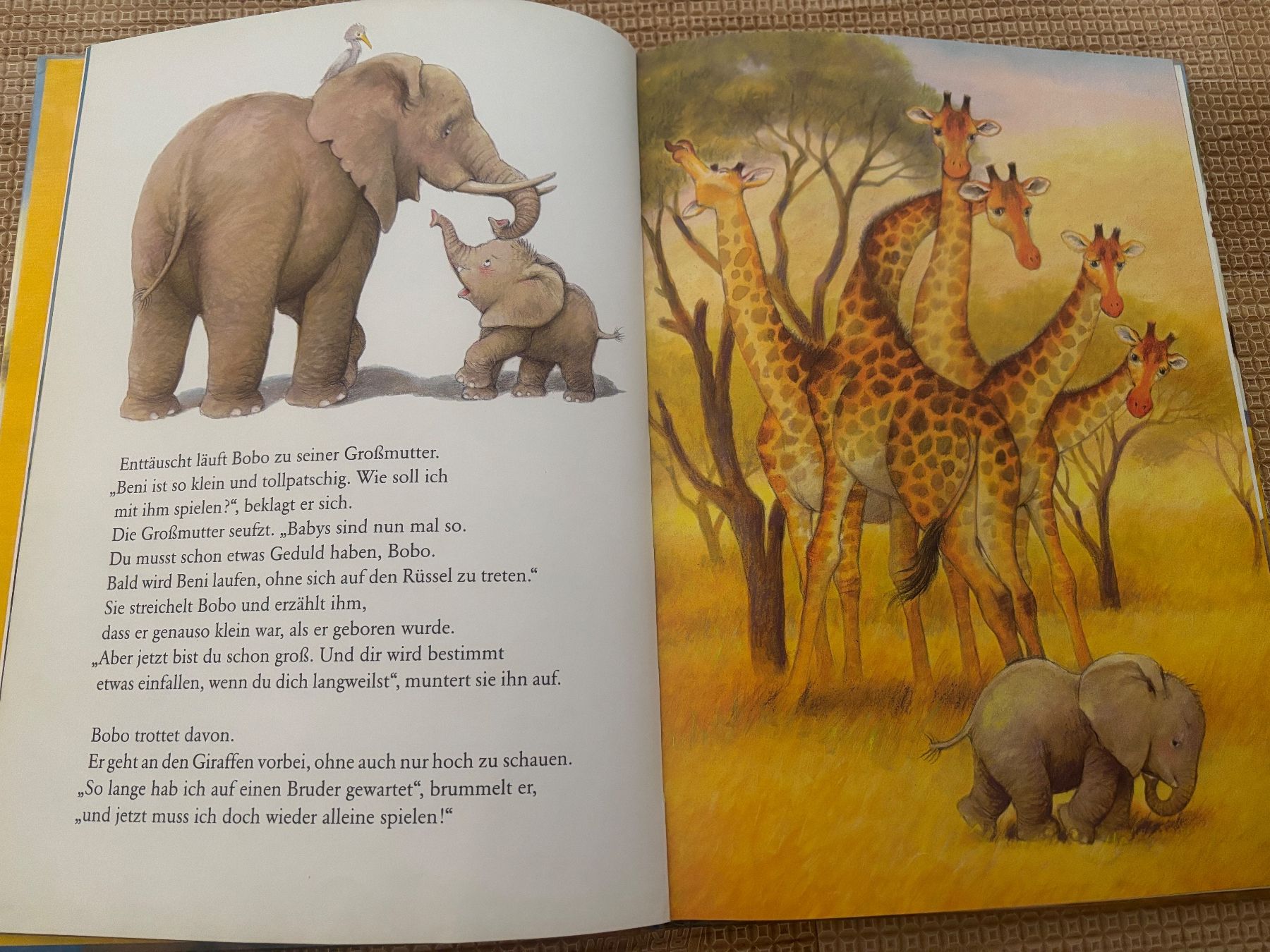 Libri: Bobo und sein kleiner Bruder werden Freunde – Usato da Thun venduto da Melpi2010 2