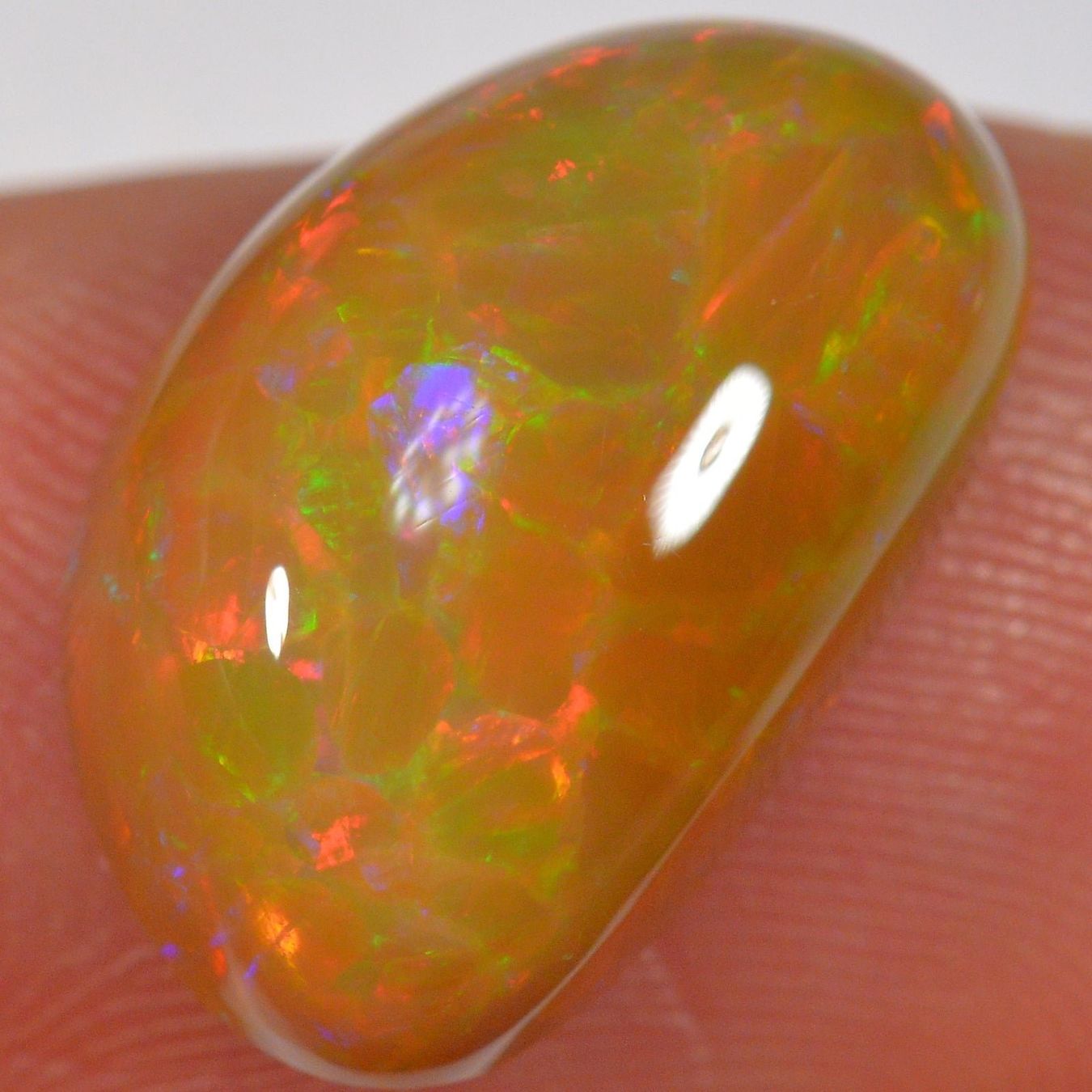 Pietre preziose: 6.6 Karat - Brown Base Cell Pattern - Äthiopischer Welo Opal – Nuovo (secondo la descrizione) da Rüti ZH venduto da DeinOpal 4