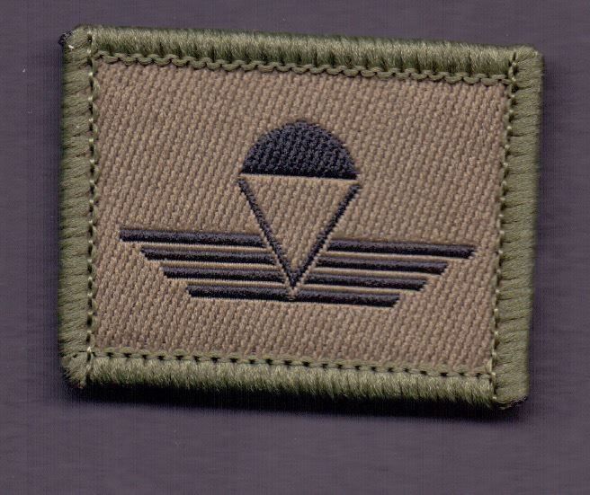 Schweizer Armee Placchette & Badge: Fallschirmaufklärer – Usato da Koblenz venduto da Himmelsreiter