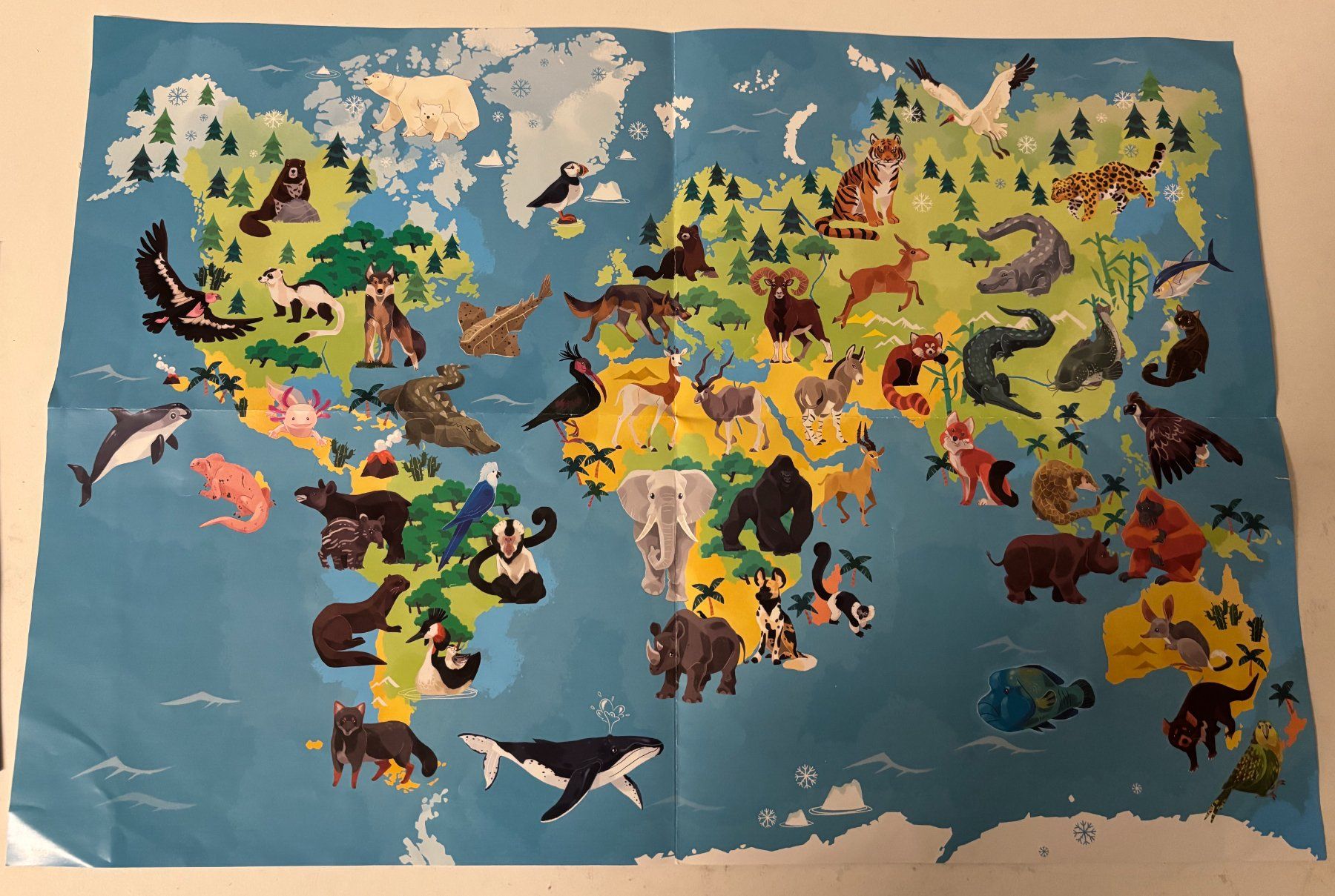 Janod Puzzle: Janod Puzzle bedrohte Tierarten / animaux menacés – Usato da Zürich venduto da IlkaK 3