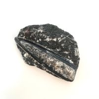 Orthoceras - geschliffen/poliert - Original