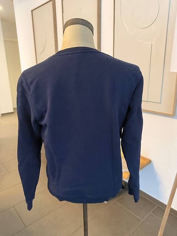 Pulls & Sweat-shirts: Lacoste – D'occasion à Wallisellen par noelzul 1