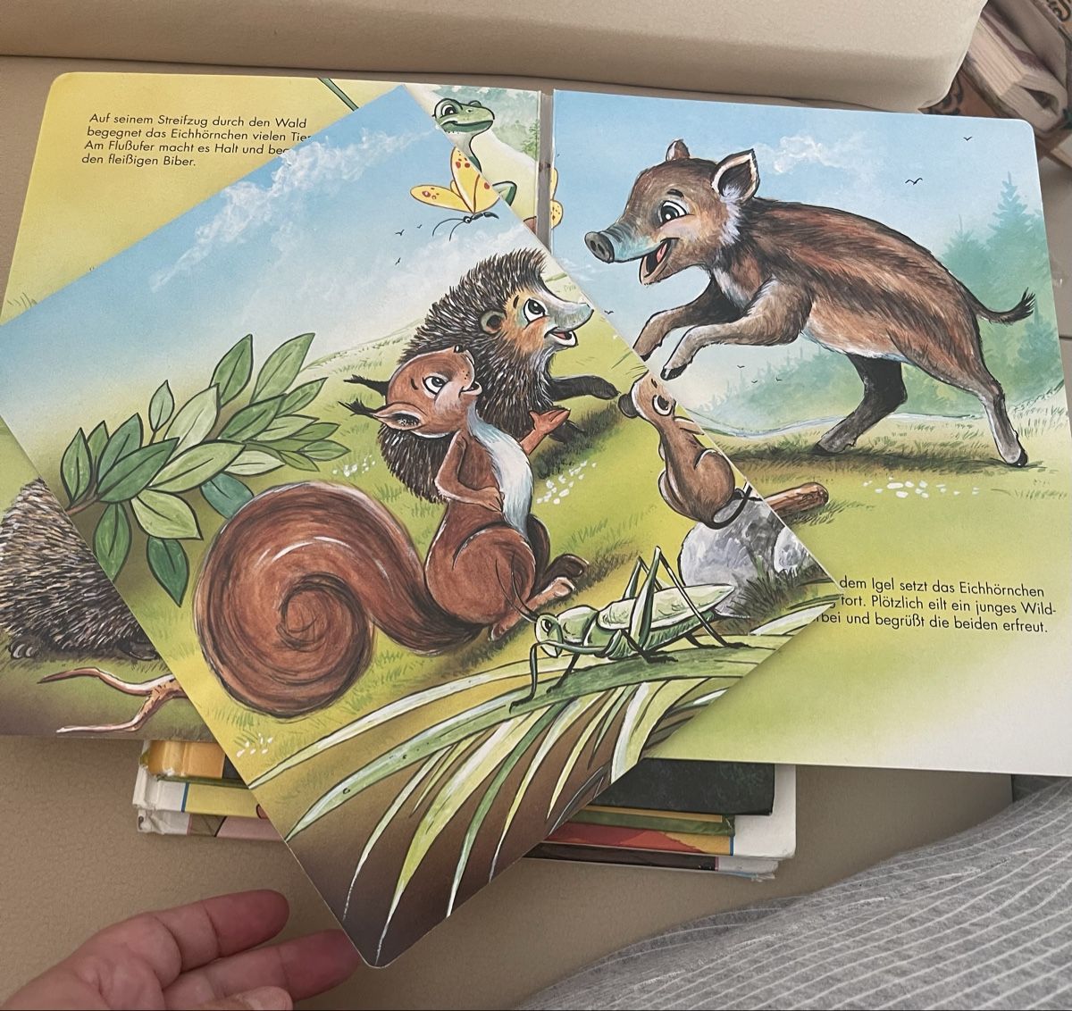 Livres: Das flinke Eichhörnchen Kinderbuch Schneider Buch – D'occasion à Birr par Elines 5