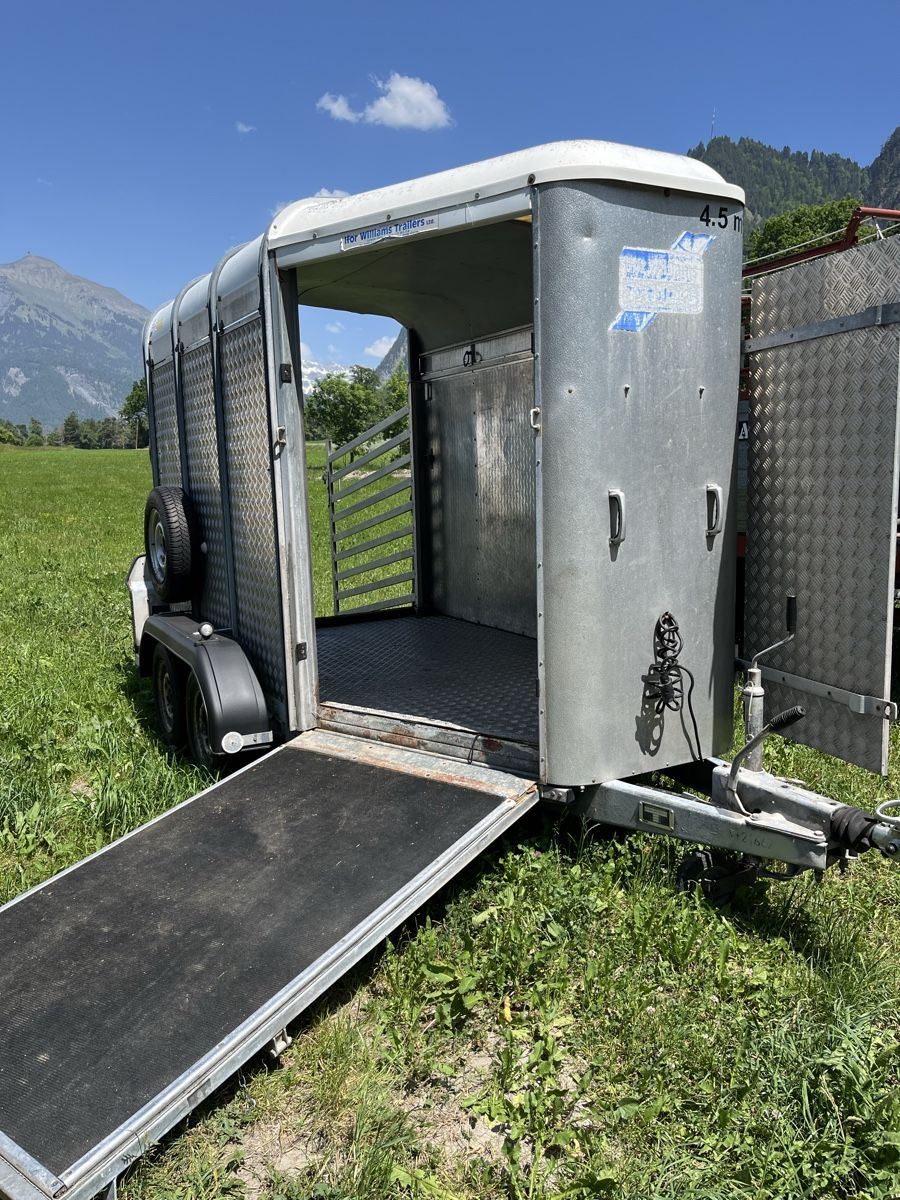 Ifor Rimorchi: Viehanhänger – Usato da Schluein venduto da Pitsch79 2