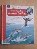 Kinderbuch Buch "Wir entdecken Wale und Delfine" 