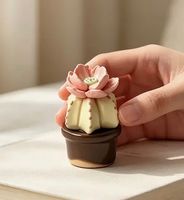 Kaktus Topfpflanze: Keramik/Deko/Geschenk