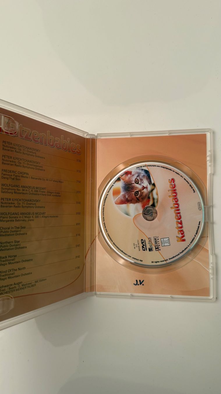 Tutti i DVDs: Katzenbabys DVD Tierdoku Katzen – Usato da Schindellegi venduto da zeitlos.vintage 1