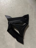 BMW S1000RR Originale Ritzelabdeckung (K67)