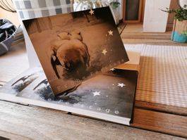 62 Weihnachtskarten doppelseitig A5 Schafe Winterfell Herde