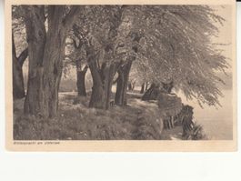 Untersee 1921