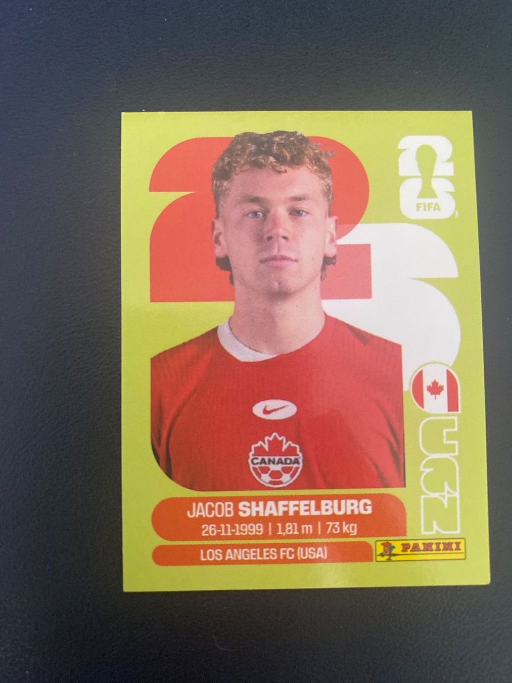 Panini Sammelbilder & Trading cards: Panini FIFA World Cup Sticker CAN 14 – Neu (gemäss Beschreibung) aus Glattbrugg von riseca