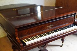 Flügel Pleyel 160