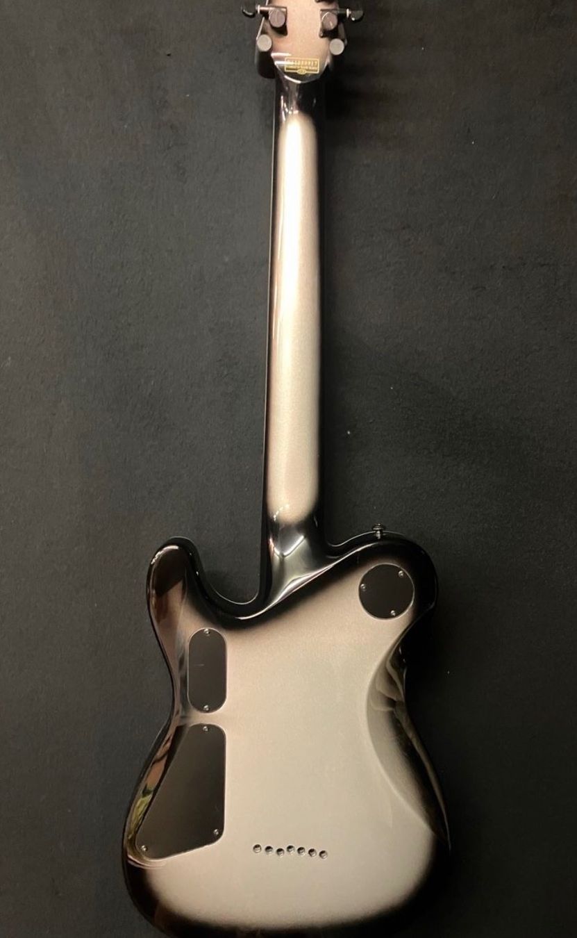 Schecter Strumenti musicali: Schecter Chris Garza PT-7 Silverburst – Usato da Roggwil BE venduto da Thugsterio 2