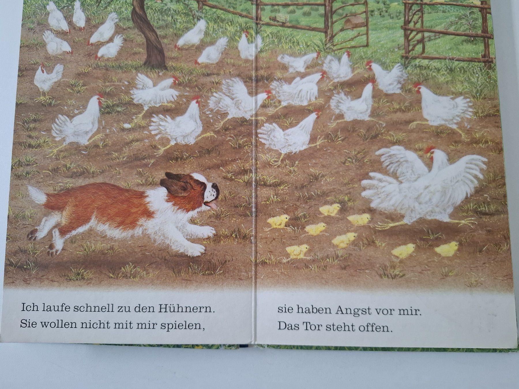 Libri: Bilderbuch Kinder mit Text – Usato da Uster venduto da Bachtel_2006 4