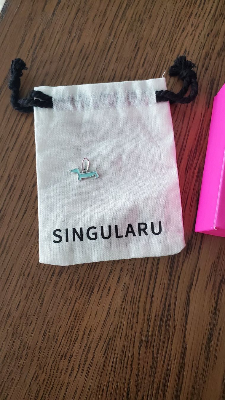 Anhänger: Anhänger Hund Silber – Neu und originalverpackt aus Interlaken von mar_65xg 4