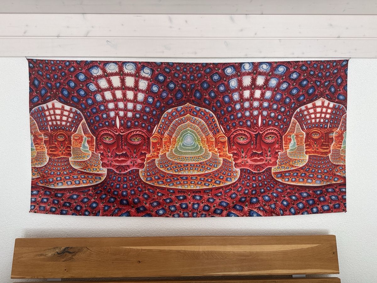 Tessuti: Tenture Alex Grey Net of Being – Usato da Mannens venduto da FabFab_95
