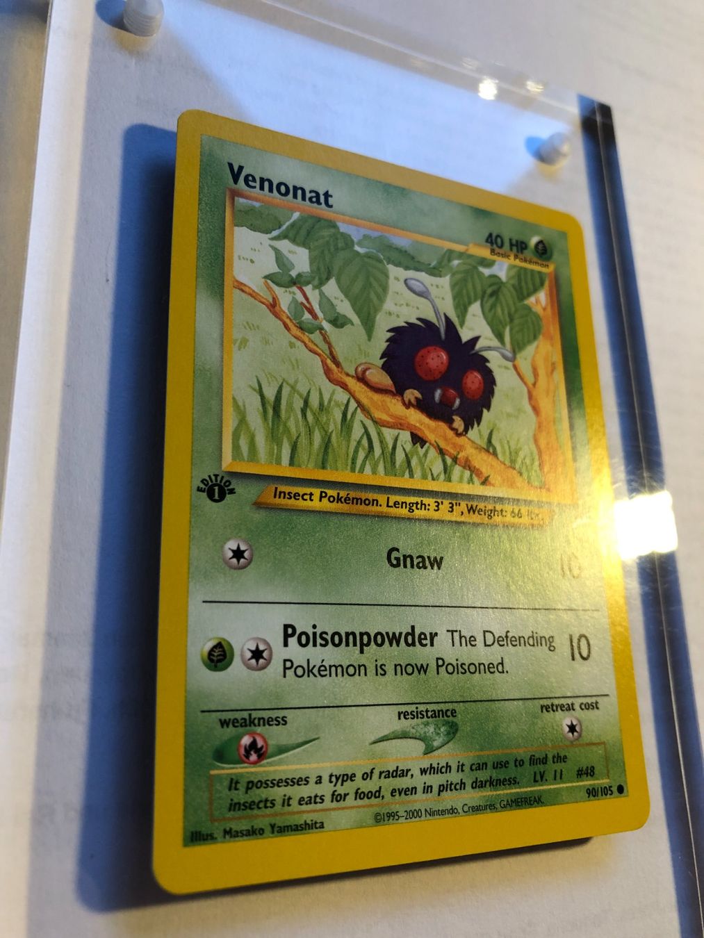 Carte collezionabili: Venonat 1st Neo Destiny - MINT - ab 1.- – Usato da Giubiasco venduto da dan_pr8b 1