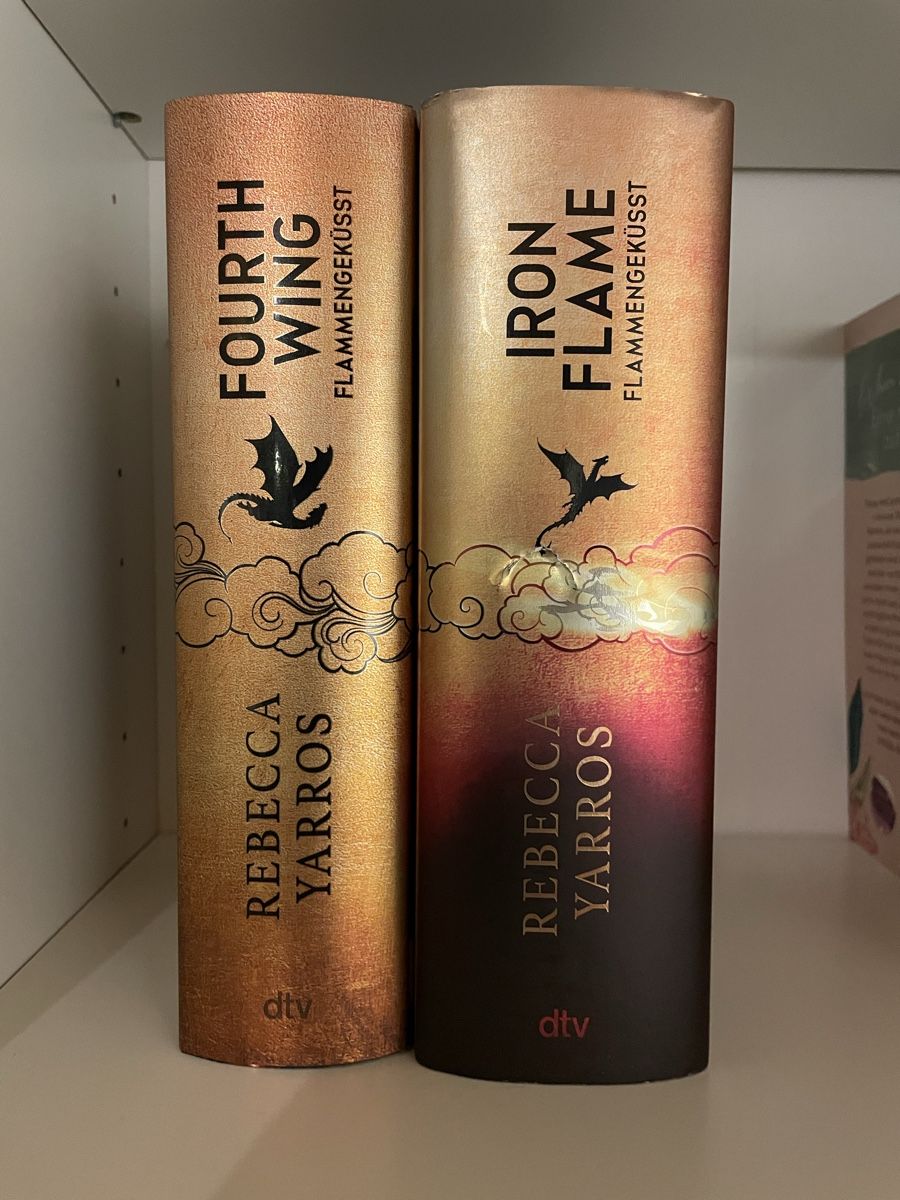 Libri: Fourth Wing & Iron Flame Farbschnitt Bücherbüchse – Nuovo (secondo la descrizione) da Adetswil venduto da Mschnuffi 2