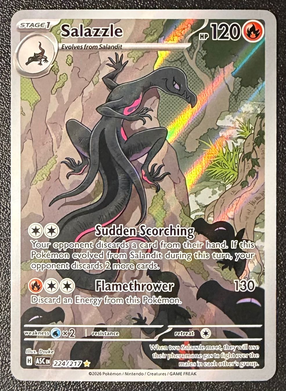 Pokémon Carte collezionabili: Salazzle #224 – Nuovo (secondo la descrizione) da Niedergösgen venduto da SwissPokeCards 2