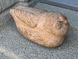 Steintaube