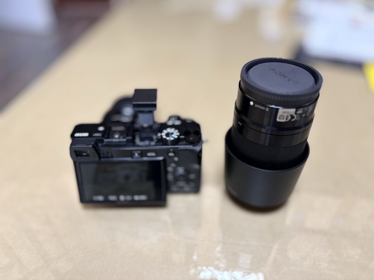 Sony Appareil photo: Sony a6100 – D'occasion à Seigneux par nil_gh5h 4