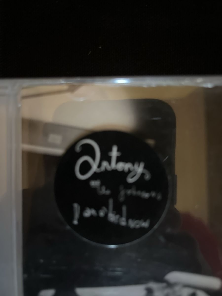 CD: Antony and the Johnsons "Ithe crying light" CD Top Zustand – Usato da Giswil venduto da Nistsigi 1