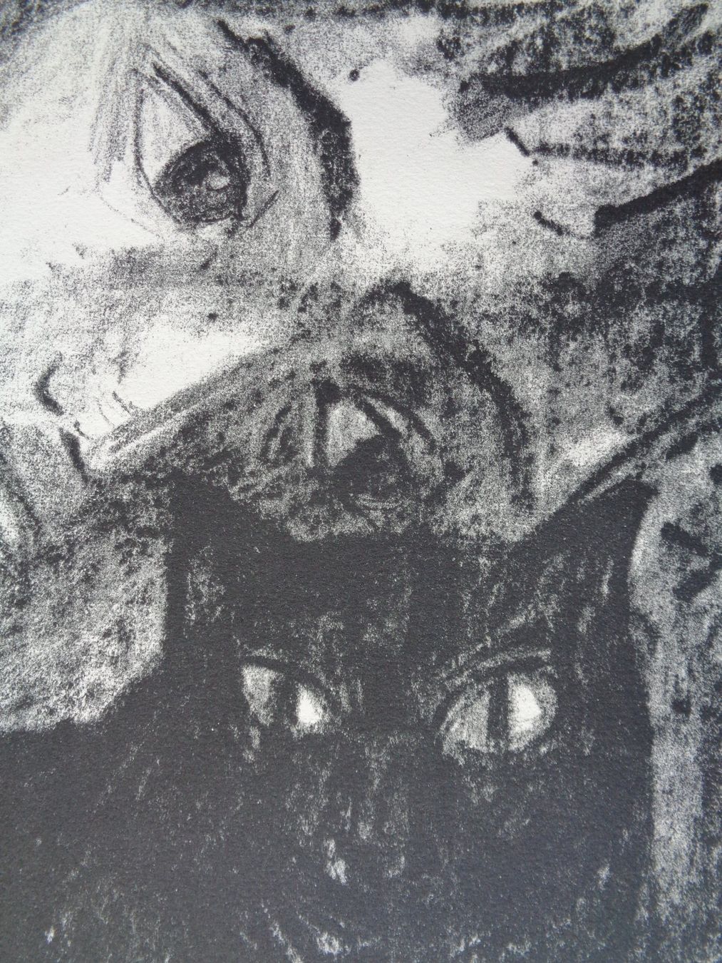 Grafica & Litografie: Lithographie von Max Truninger hinter Glas – Usato da Chur venduto da omonia 5