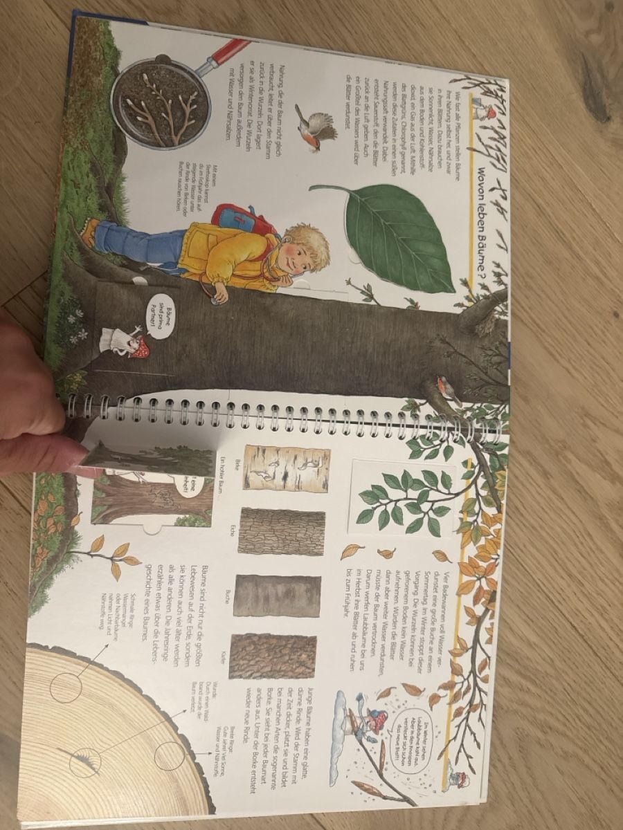 Libri: Buch Wir entdecken den Wald Ravensburger 4-7 Jahre – Usato da Zollikerberg venduto da juneja79 2