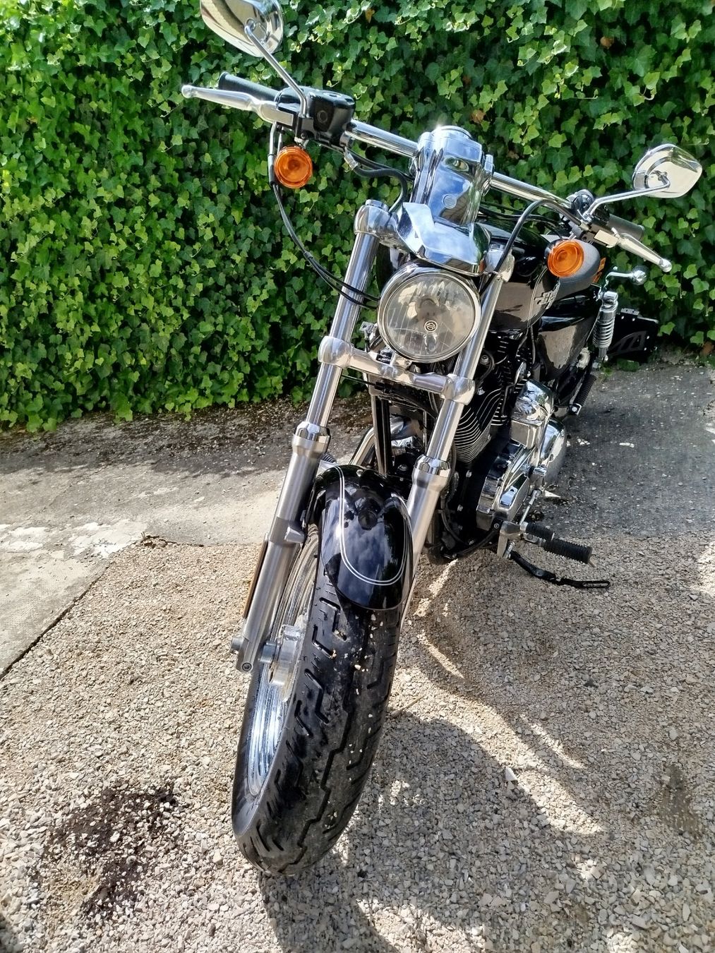 Harley-Davidson Chopper: Harkey-Davidson XL 1200C – Usato da Broc venduto da Ruff1