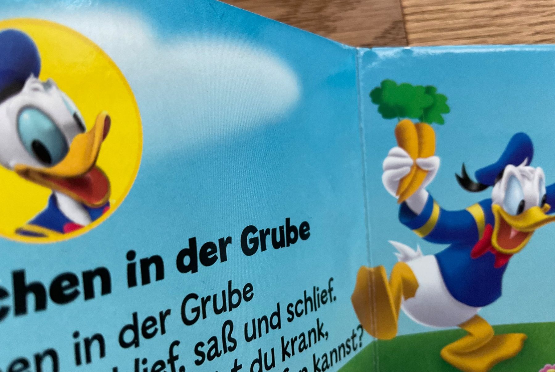 Libri: Sing mit uns! Mickey Junior – Usato da Niederteufen venduto da sicmu 3