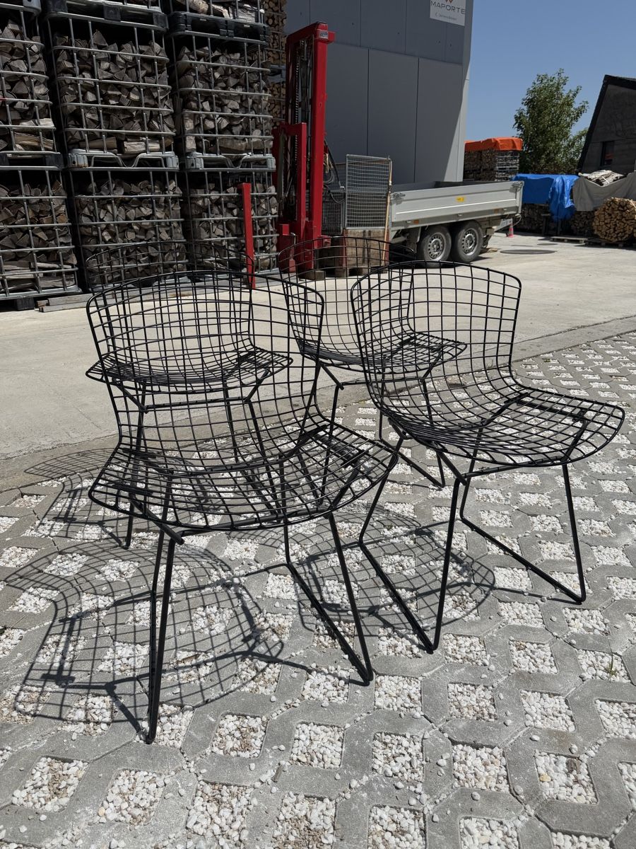 Knoll Sedie: Série de 4 chaises Harry Bertoia – Usato da Arnex-sur-Orbe venduto da Tutu1037 1